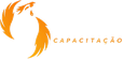 Capacitação Profissional Fênix